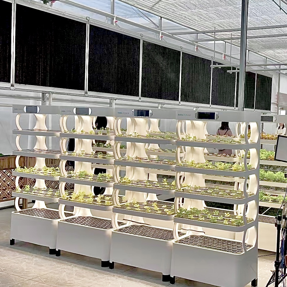 Indoor Smart Garden Hydroponic