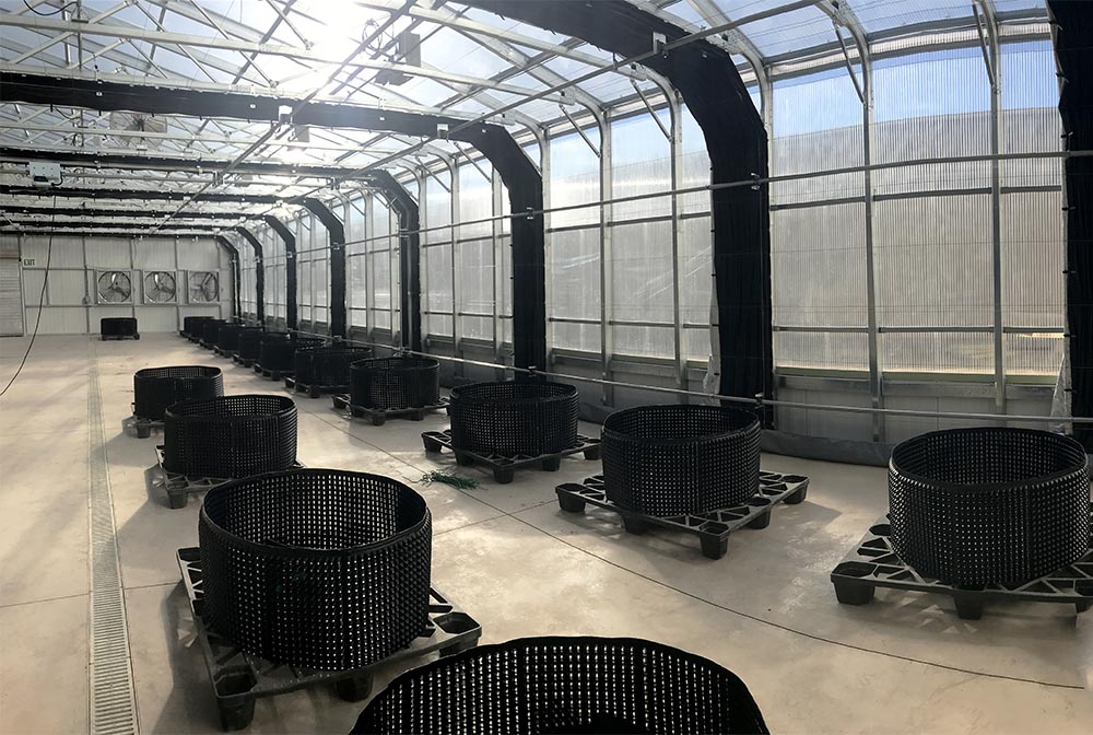 Light-controlled blackout greenhouse