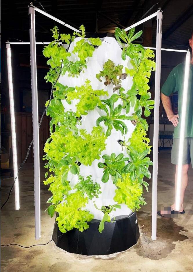 hydroponic tower