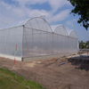 Strong UV-resistant Curved Multi-Span Greenhouse
