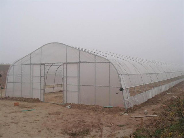 Agriculture Single Span greenhouse low cost hoop greenhouse UV-resistant tunnel greenhouse