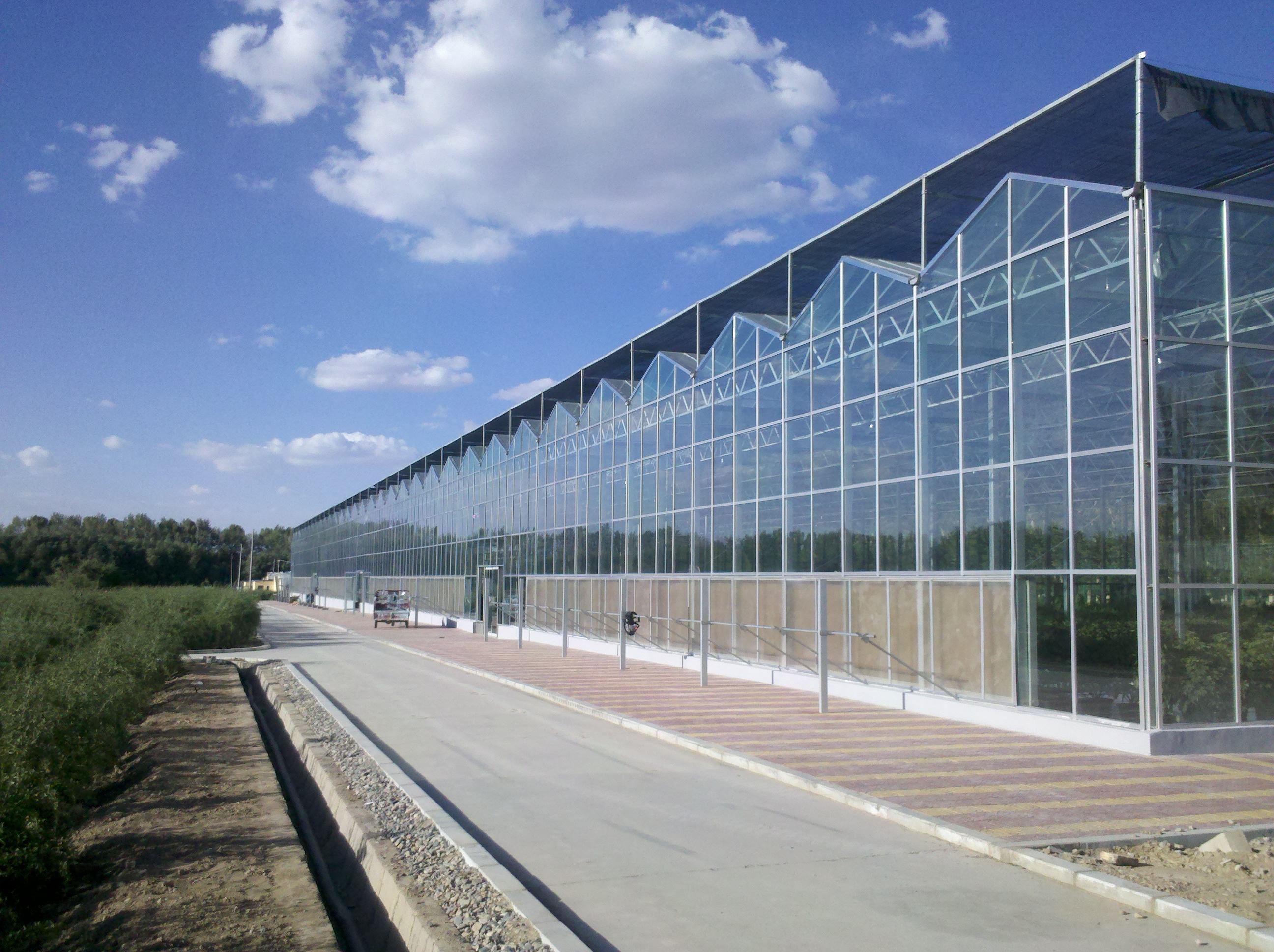 Agricultural Automated Sawtooth glass greenhouse