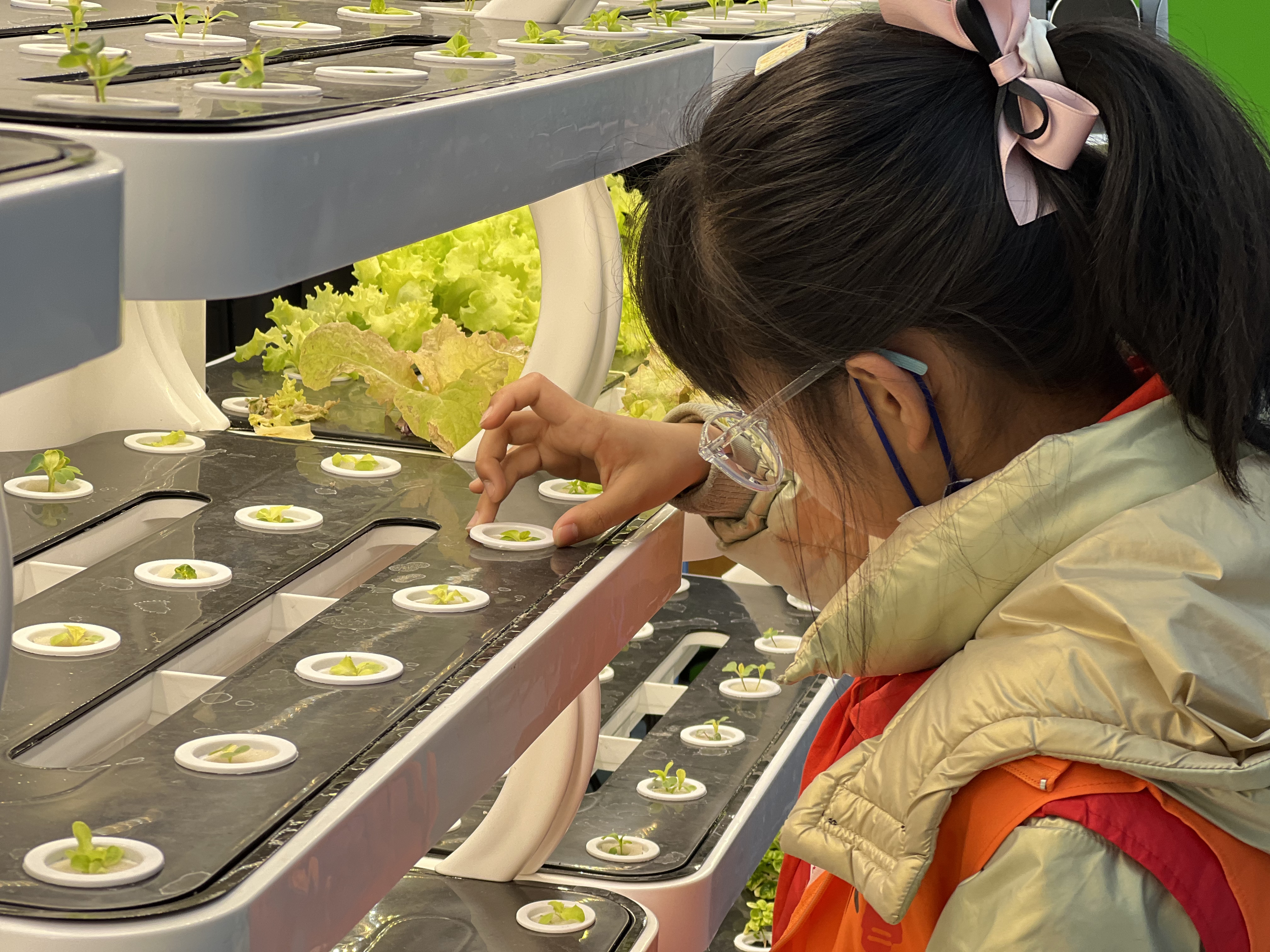 Indoor Smart Garden Hydroponic