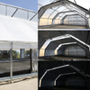 UV-resistant Greenhouse Film Dedicated Black And White Opaque