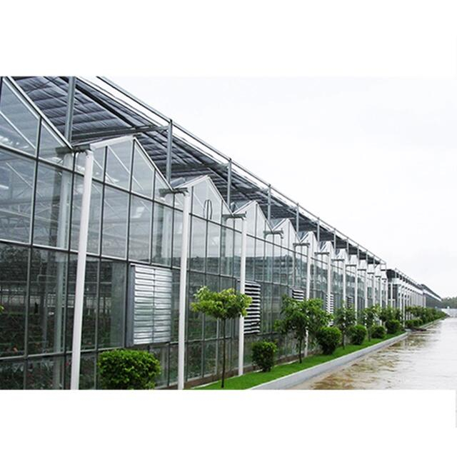 Agricultural Automated Sawtooth glass greenhouse