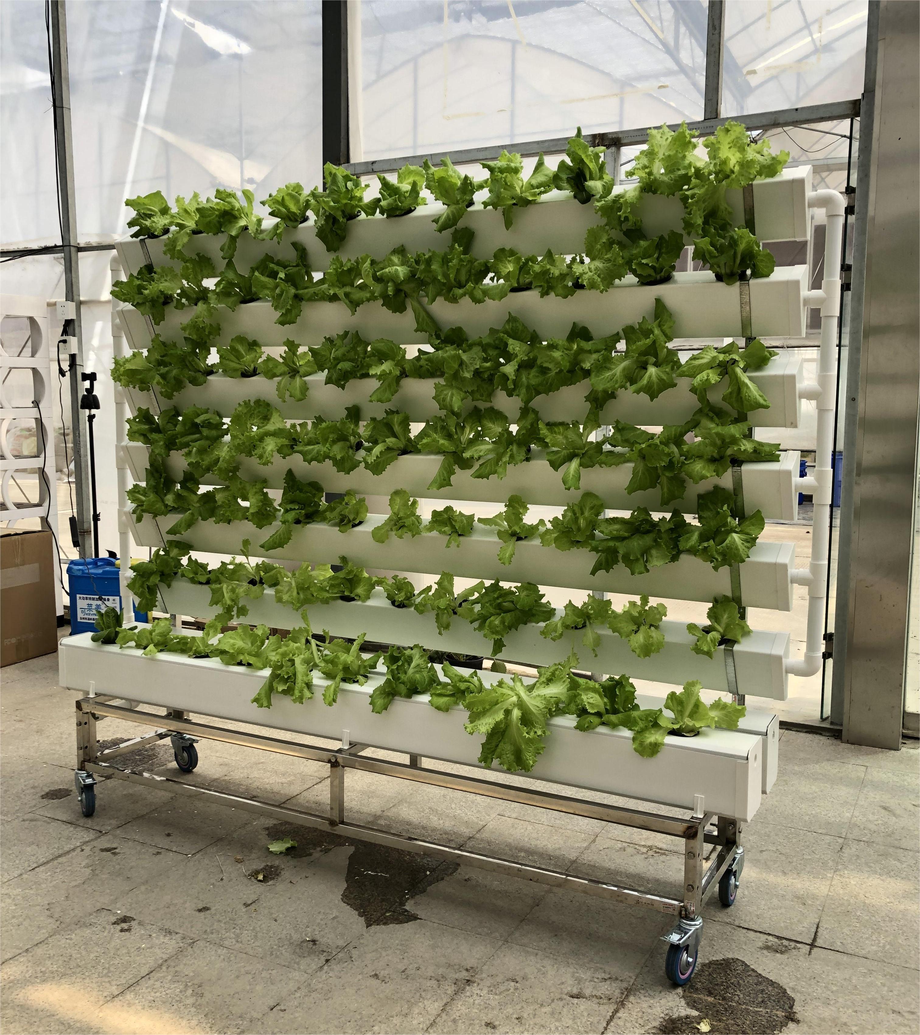 Smart Version of Double-sided Hydroponics