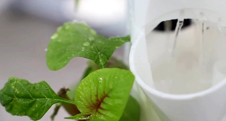 Vertical hydroponics 