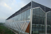 Agricultural Automated Sawtooth glass greenhouse