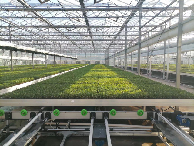 Flower seeding nursery bench mesh grow table rolling bench system cultivation seedbed