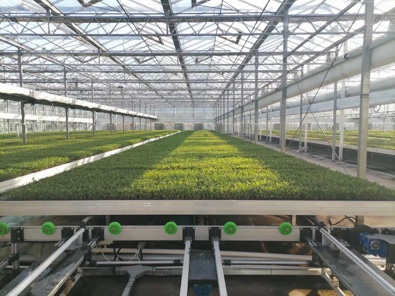 Flower seeding nursery bench mesh grow table rolling bench system cultivation seedbed