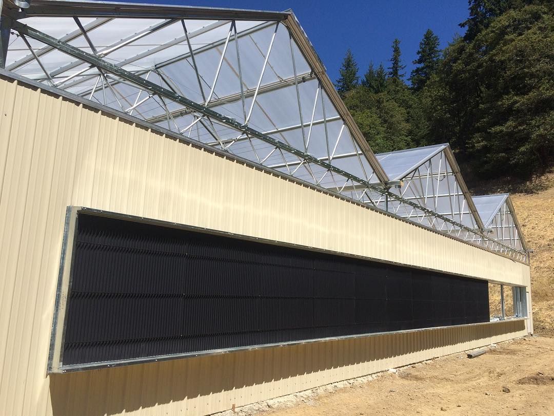 hemp greenhouse (4) hemp greenhouse (4)