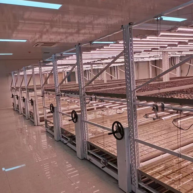 Vertical Farming Commercial Space Saving Solution Plant Vertic Rack Cultivation Rack Systems Trays