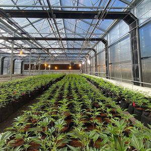 100% Shading Tunnel Greenhouse with Light Deprivation System Blackout System/Lighting System for Mushroom/Plant Growth