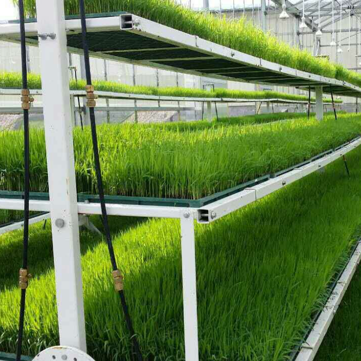 Vertical Farming Commercial Space Saving Solution Plant Vertic Rack Cultivation Rack Systems Trays