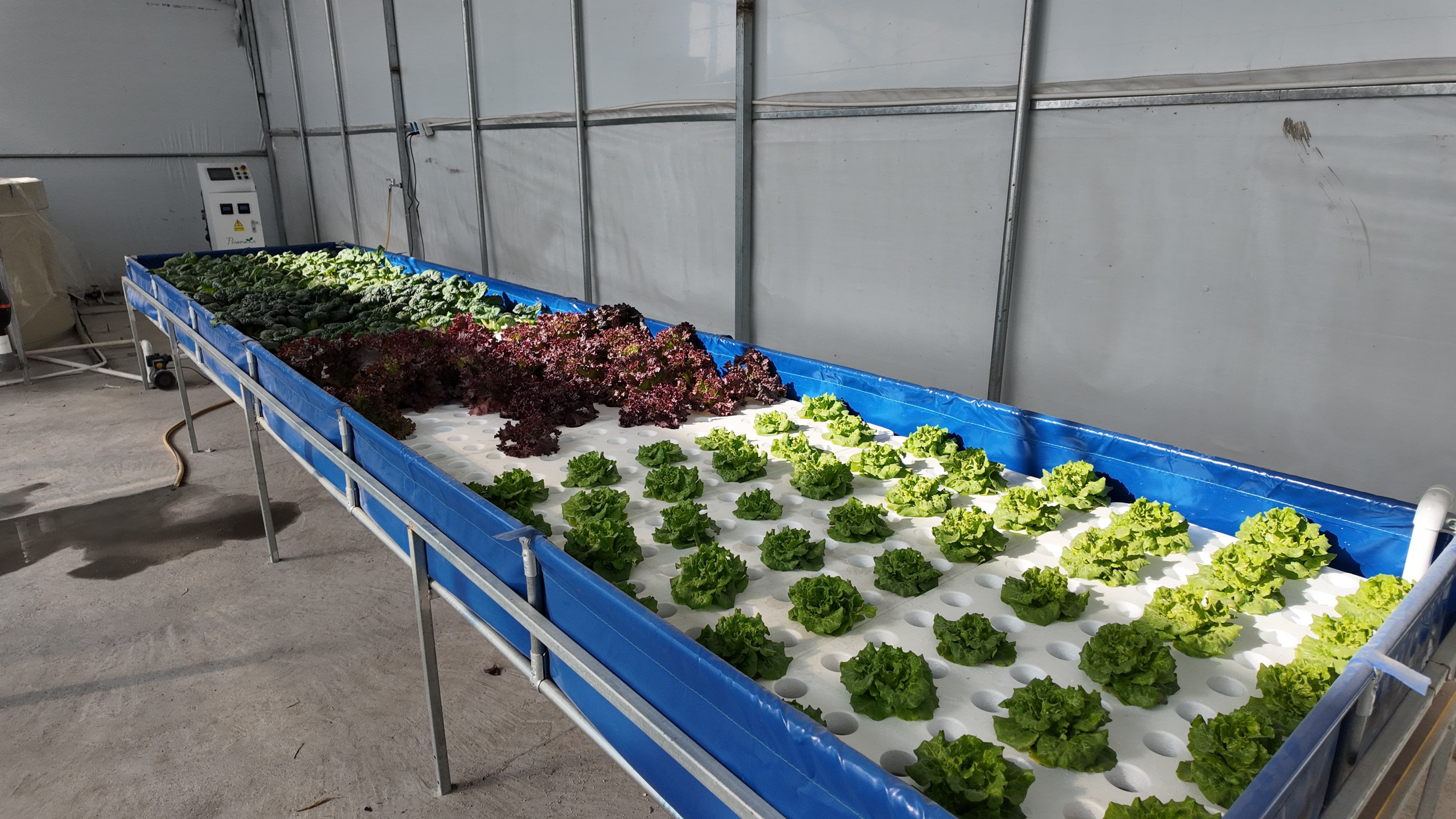 DJI_20251208131911_0009_D(1)