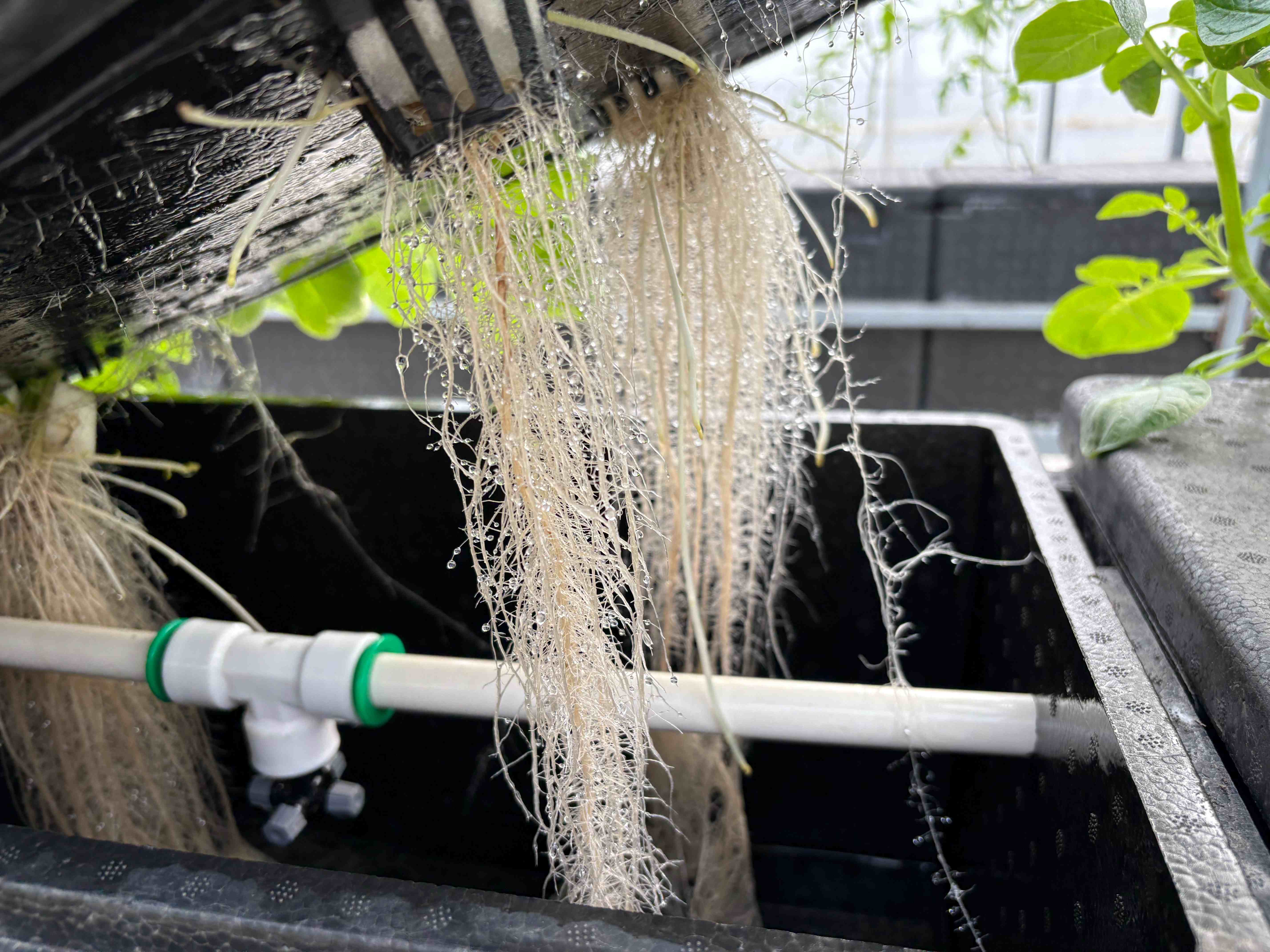 微信图片_20260311135146_4557_945(1)