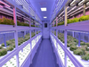 Vertical Farming Temperature Control Illuminating Intelligent Farming Container Greenhouse with Substrate Culture System