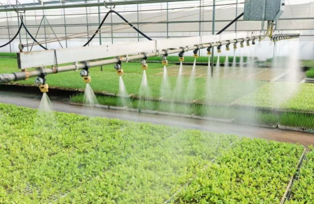 7c71778f-da5d-4517-931f-9dd5c6694467