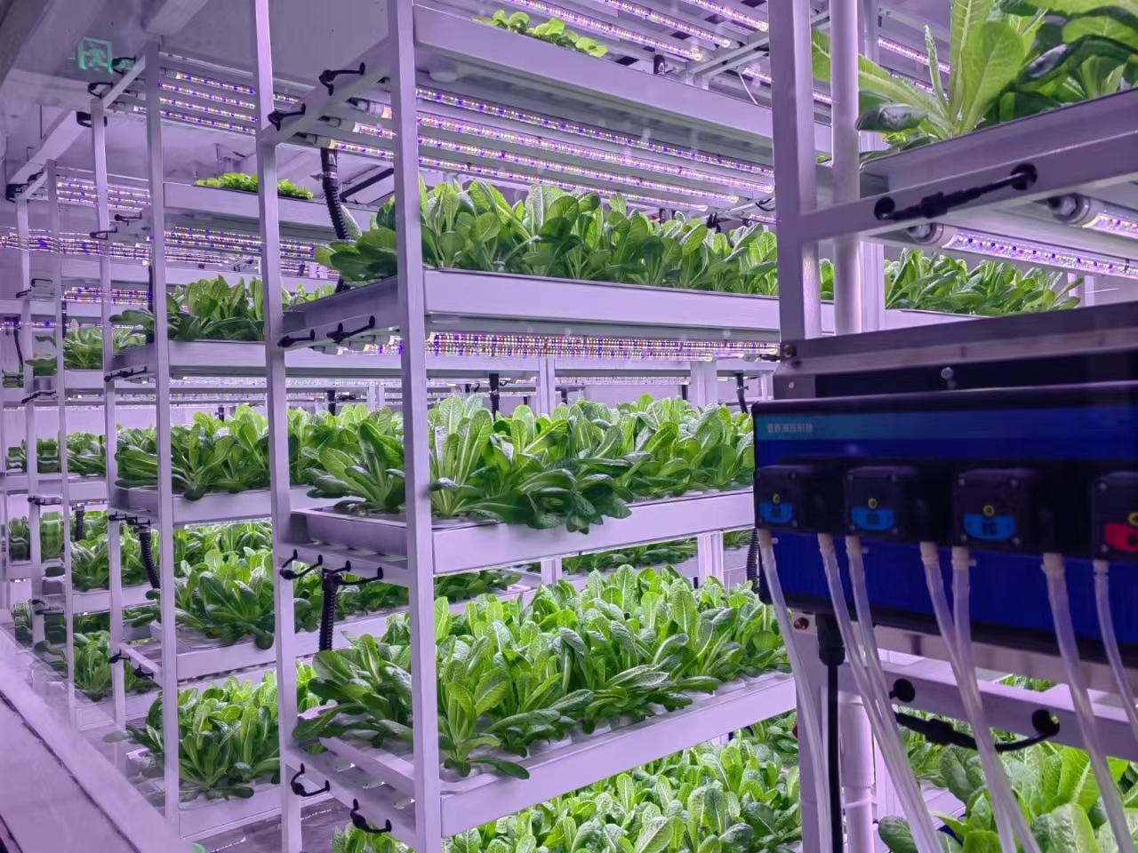 Vertical Farming Commercial Space Saving Solution Plant Vertic Rack Cultivation Rack Systems Trays