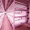 Vertical Farming Commercial Space Saving Solution Plant Vertic Rack Cultivation Rack Systems Trays