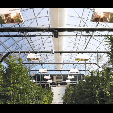 Blackout Green House Light Dep Greenhouse Hemp Light Deprivation Greenhouse Fully Automated Blackout System