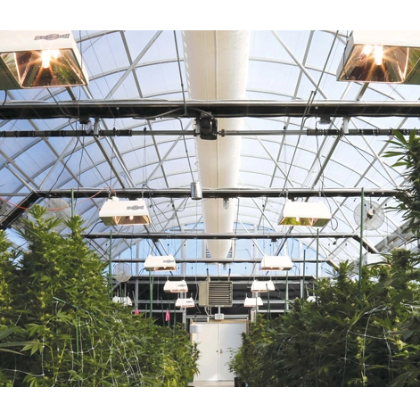 Intelligent Commercial Automated Agriculture Poly Tunnel Light Deprivation Greenhouse Blackout Greenhouse Invernadero