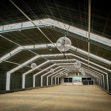 Intelligent Commercial Automated Agriculture Poly Tunnel Light Deprivation Greenhouse Blackout Greenhouse Invernadero