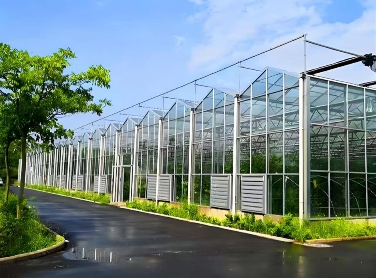 35b37a80c173a313b368b021ca2ca91f